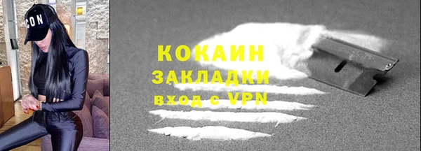 твердый Инсар