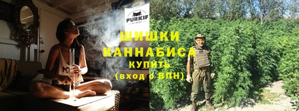 амф Инта