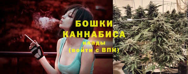 прущий лед Горняк
