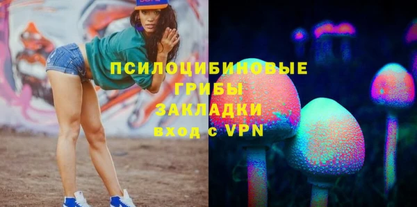 прущий лед Горняк