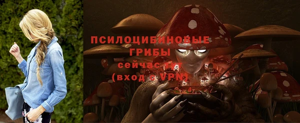 прущий лед Горняк