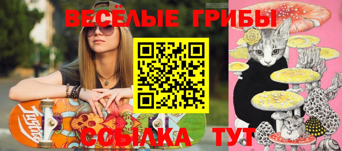 Галлюциногенные грибы ЛСД  Егорьевск 